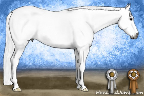 Horse Color:Gray Black Sabino 