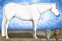Horse Color:Gray Black Sabino 