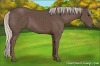 Horse Color:Silver Black 