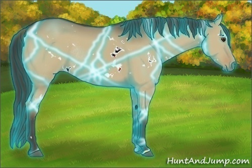 Horse Color:Thunderstruck White Spotted Liver Red Dun Rabicano 