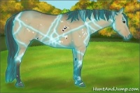 Horse Color:Thunderstruck White Spotted Liver Red Dun Rabicano 