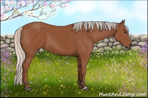 Horse Color:Silver Bay 