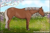 Horse Color:Silver Bay 