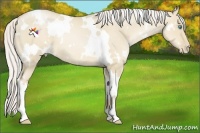 Horse Color:White Spotted Silver Smoky Grullo Pearl 