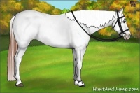 Horse Color:Black Varnish 