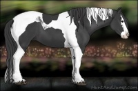 Horse Color:Black Sabino Splash Tobiano
