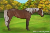 Horse Color:Silver Bay