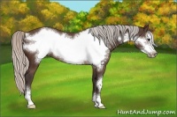 Horse Color:Silver Brown Frame 