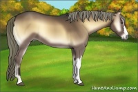 Horse Color:Liver Red Onyx 