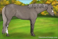Horse Color:Silver Black 