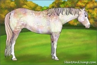 Horse Color:Nacre White Spotted Silver Amber Champagne Ice Onyx Rabicano
