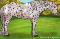 Horse Color:White Spotted Chocolate Brown Varnish 