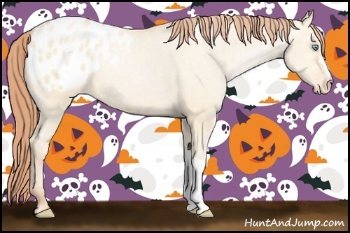 Horse Color:Buckskin Pearl Dun Blanket