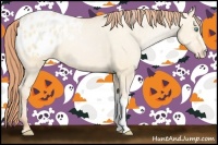 Horse Color:Buckskin Pearl Dun Appaloosa