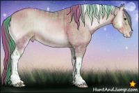 Horse Color:Watercolor Sable Champagne Onyx Sabino  and Watercolor Gold Champagne Onyx Tobiano 