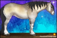 Horse Color:Bay Roan Onyx Sabino