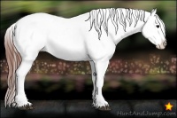 Horse Color:Brown Roan Onyx Splash Near Fewspot