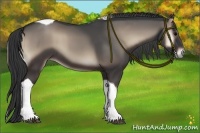 Horse Color:Blue Onyx Tobiano 
