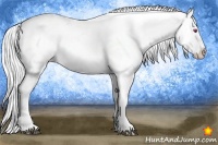 Horse Color:White Spotted Silver Bay Chinchilla Onyx Sabino Splash Near Leopard