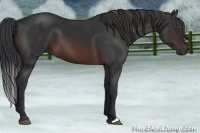 Horse Color:Brown 