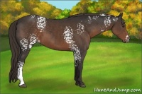 Horse Color:White Spotted Liver Chestnut 
