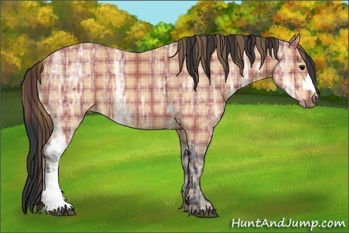 Horse Color:Plaid  Bay Ice 