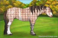 Horse Color:Plaid  Bay Ice 