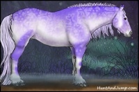 Horse Color:Watercolor Silver Blue Onyx Chinchilla Ice Roan Sabino Rabicano 