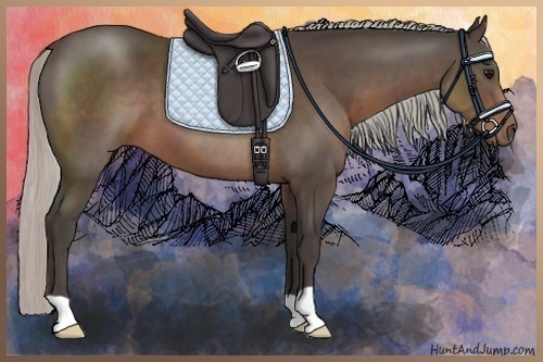 Horse Color:Silver Black 