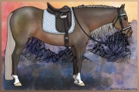 Horse Color:Silver Black 