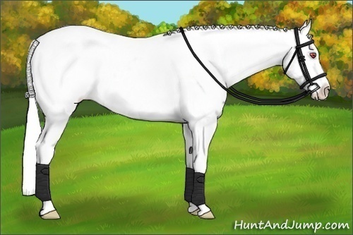 Horse Color:Silver Black Chinchilla Sabino Snowcap Rabicano