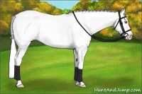 Horse Color:Silver Black Chinchilla Sabino Snowcap Rabicano 