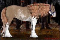 Horse Color:Liver Red Dun Sabino Rabicano