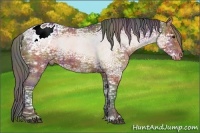 Horse Color:Nacre Brown Ice Sabino Varnish 