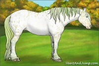 Horse Color:Watercolor Buckskin Ice Pearl Sabino Appaloosa 