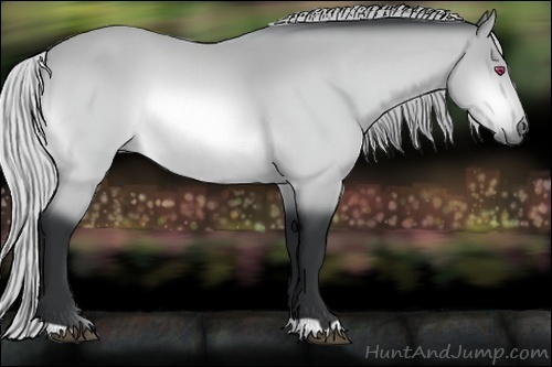 Horse Color:Silver Bay Chinchilla