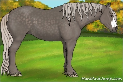 Horse Color:Silver Black 