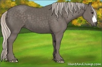 Horse Color:Silver Black