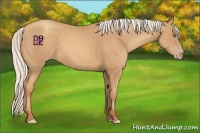 Horse Color:Silver Amber Champagne