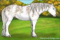 Horse Color:White Spotted Silver Grullo Roan Splash 