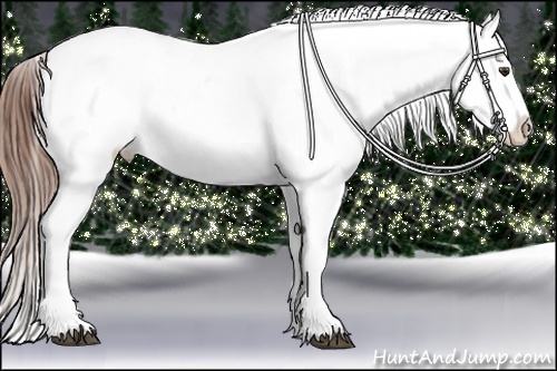 Horse Color:Chestnut Snowflake Varnish 