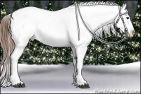 Horse Color:Chestnut Snowflake Varnish
