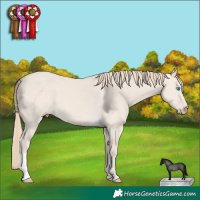 Horse Color:Smoky Creme Dun 