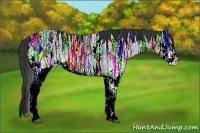 Horse Color:White Spotted Blue Ice Roan Rabicano and White Spotted Blue Ice Roan Rabicano