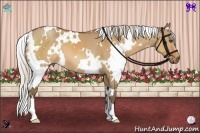 Horse Color:White Spotted Silver Bay Dun