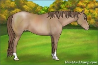Horse Color:Black Pearl 