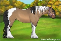 Horse Color:Bay Dun Tobiano 