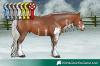 Horse Color:White Spotted Silver Bay 
