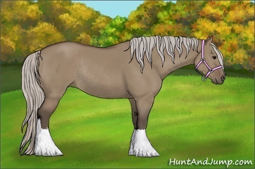 Horse Color:Silver Grullo Sabino Rabicano 