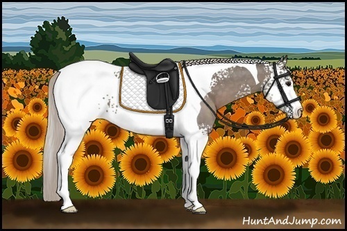 Horse Color:White Spotted Silver Black Tobiano